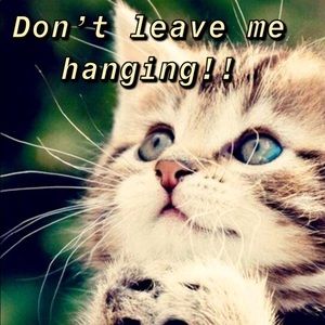 Don’t leave me hanging, accept orders timely 😁👍